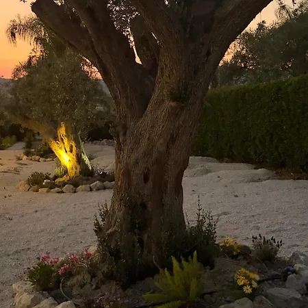 Bauernhof Tale Garden