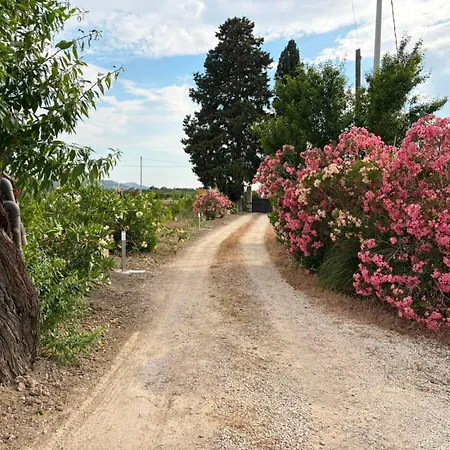 Alloggio per agriturismo Talè Garden *