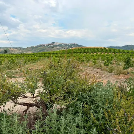 Talè Garden Mineo